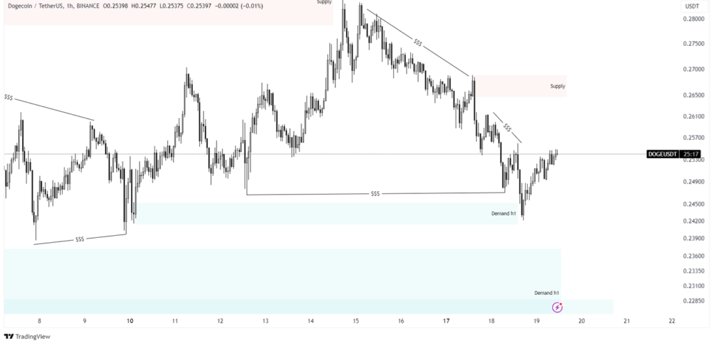 doge price analysis