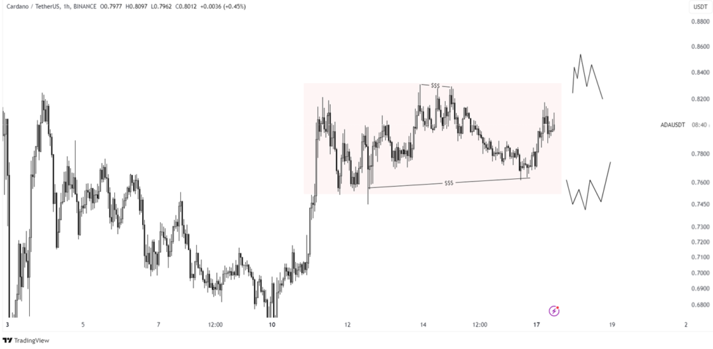 a graph of cardano