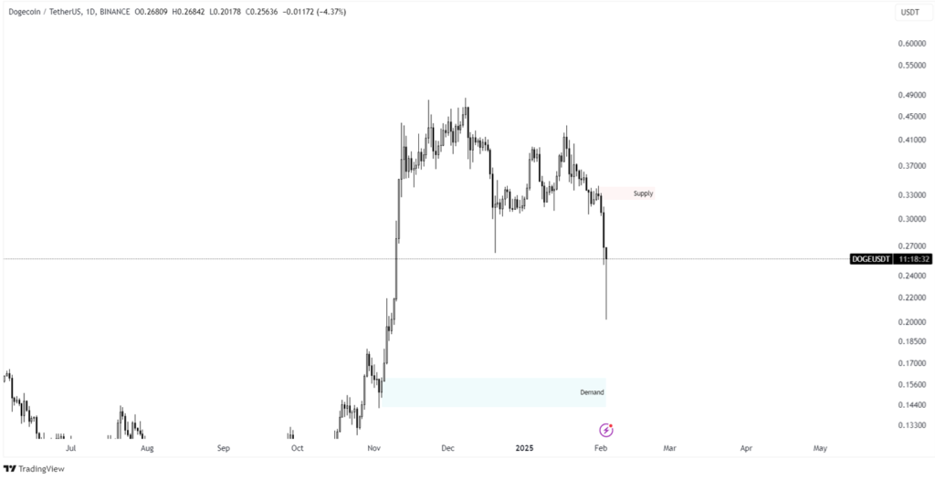 doge prediction