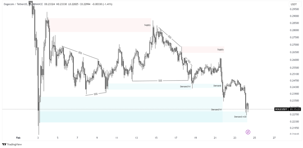 doge price prediction