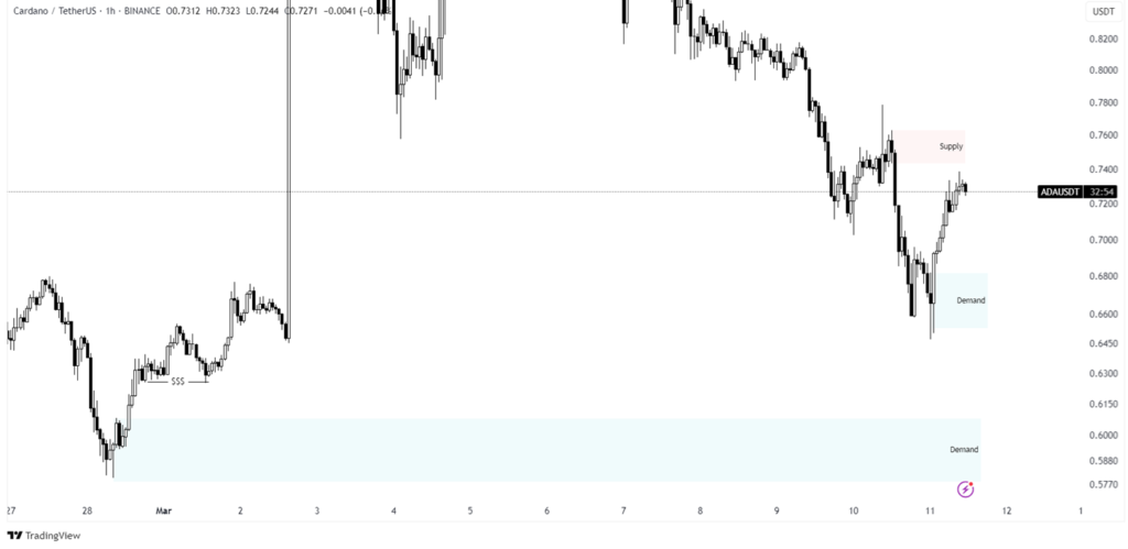 cardano price